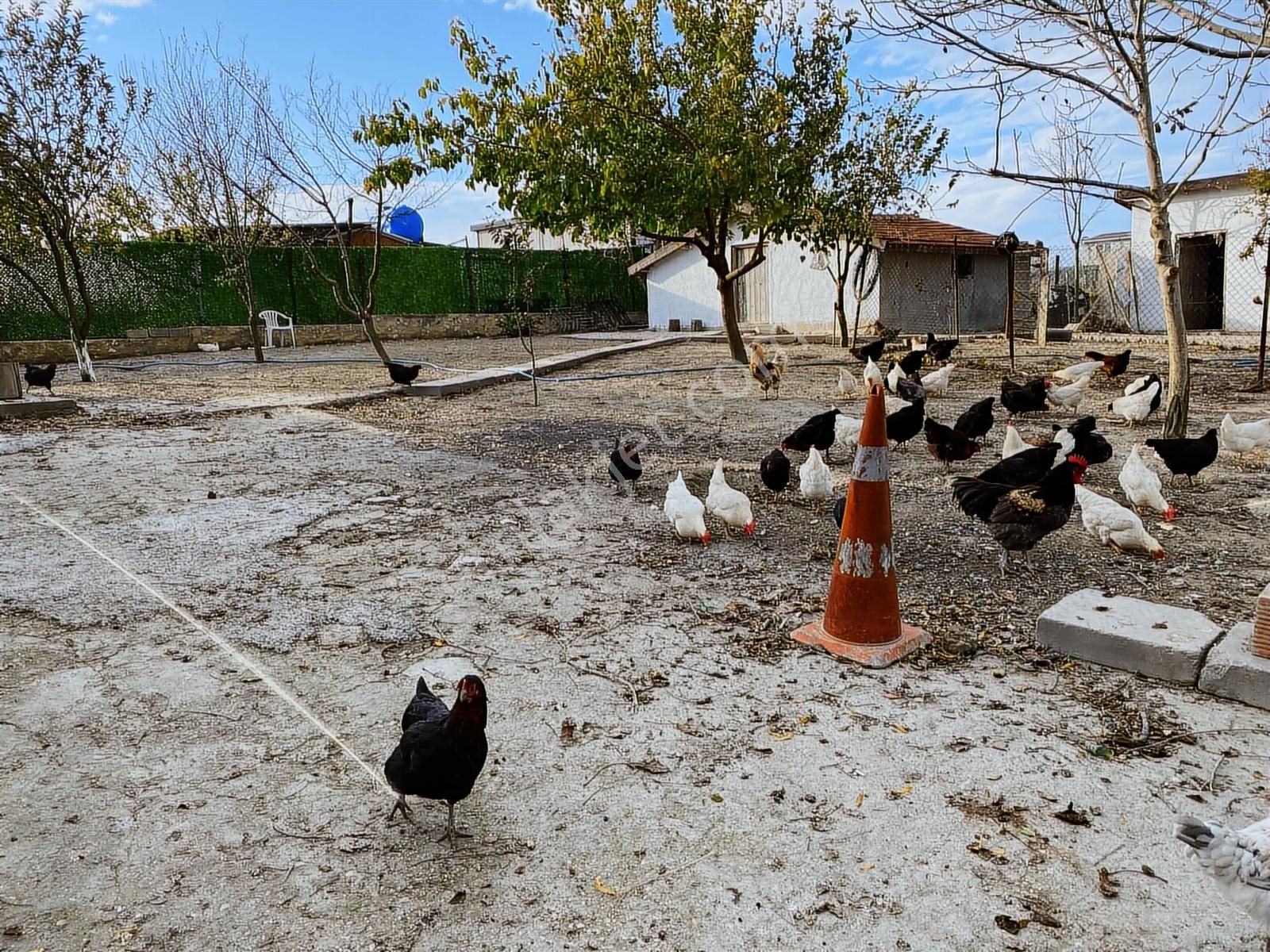 Çatalca Çanakçada Ticari İmarlı Yapı Kayıtlı 495 M2 Arsa - Görsel 2