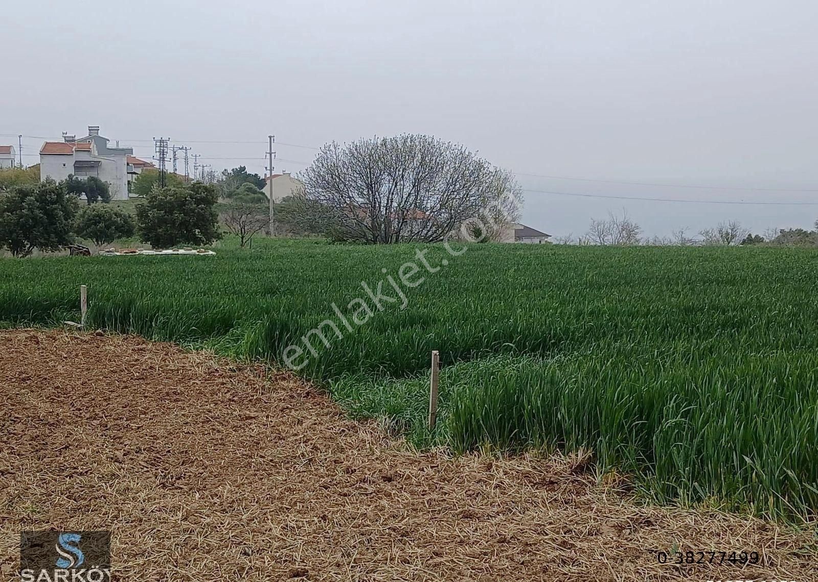 Tekirdağ Şarköy Mürefte’de Seçkin Bir Yaşam Fırsatı - Görsel 12