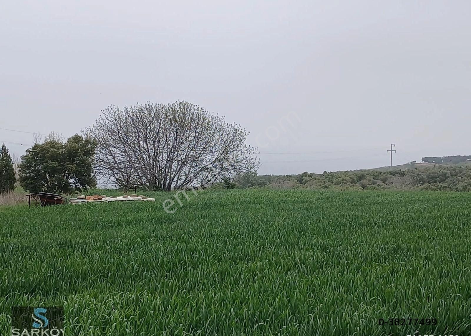 Tekirdağ Şarköy Mürefte’de Seçkin Bir Yaşam Fırsatı - Görsel 3