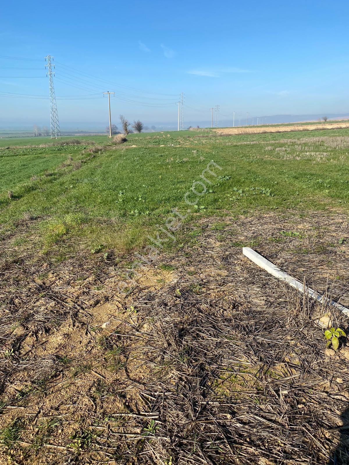 Vize Evrenlide Yatırımlık 638 M2 Tarla Hisseli Parsel - Görsel 4
