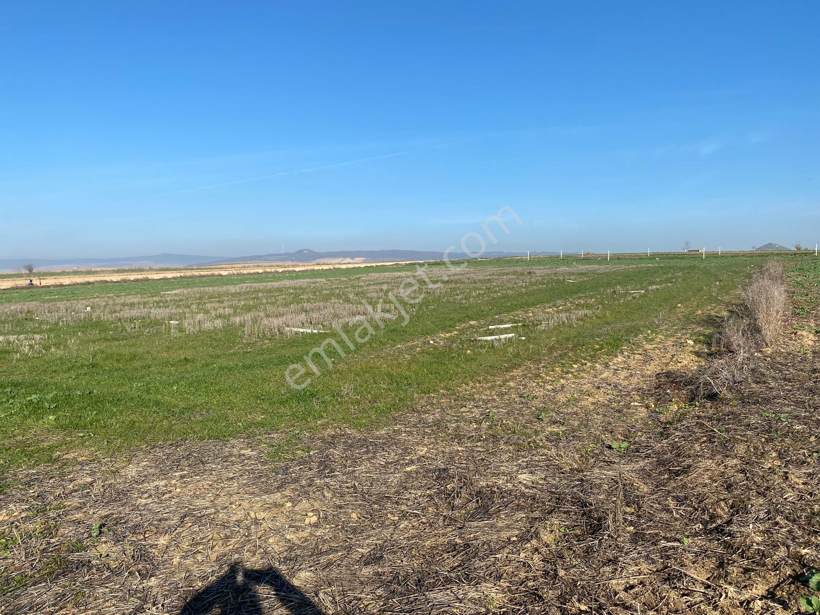 Vize Evrenlide Yatırımlık 638 M2 Tarla Hisseli Parsel - Görsel 3