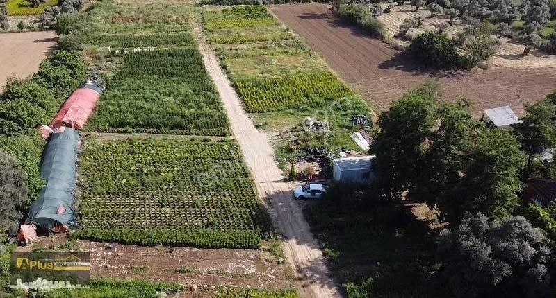A Plus Gayrimenkulden Bayındırda Mükkemel Konumda Sera Çiftliği - Görsel 28