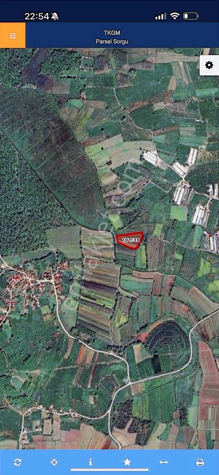 Hayvan Çiftliğine Uygun Tarla - Görsel 3