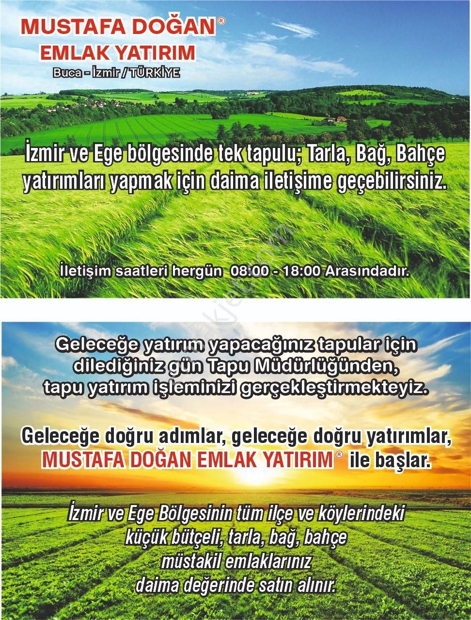 İzmir Kiraz Suludere'de 15.200 M2 Zeytin Bahçesi + 20 Dönüm Alan. Açıklamayı Okuyarak Arayınız. - Görsel 16