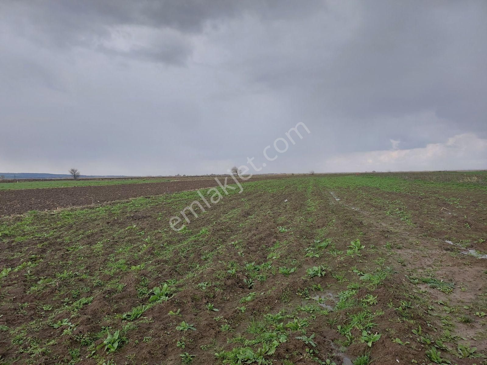 Bursa M.kemalpaşa Tepecik Satılık Tarla - Görsel 10