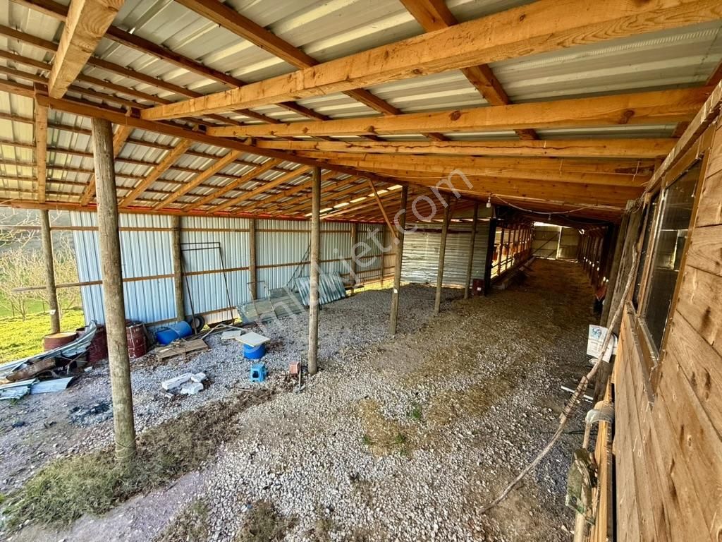 Yatırımlık: 3.917 M² İçinde Hazır Kurulu Besi Çiftliği & Ev - Görsel 8