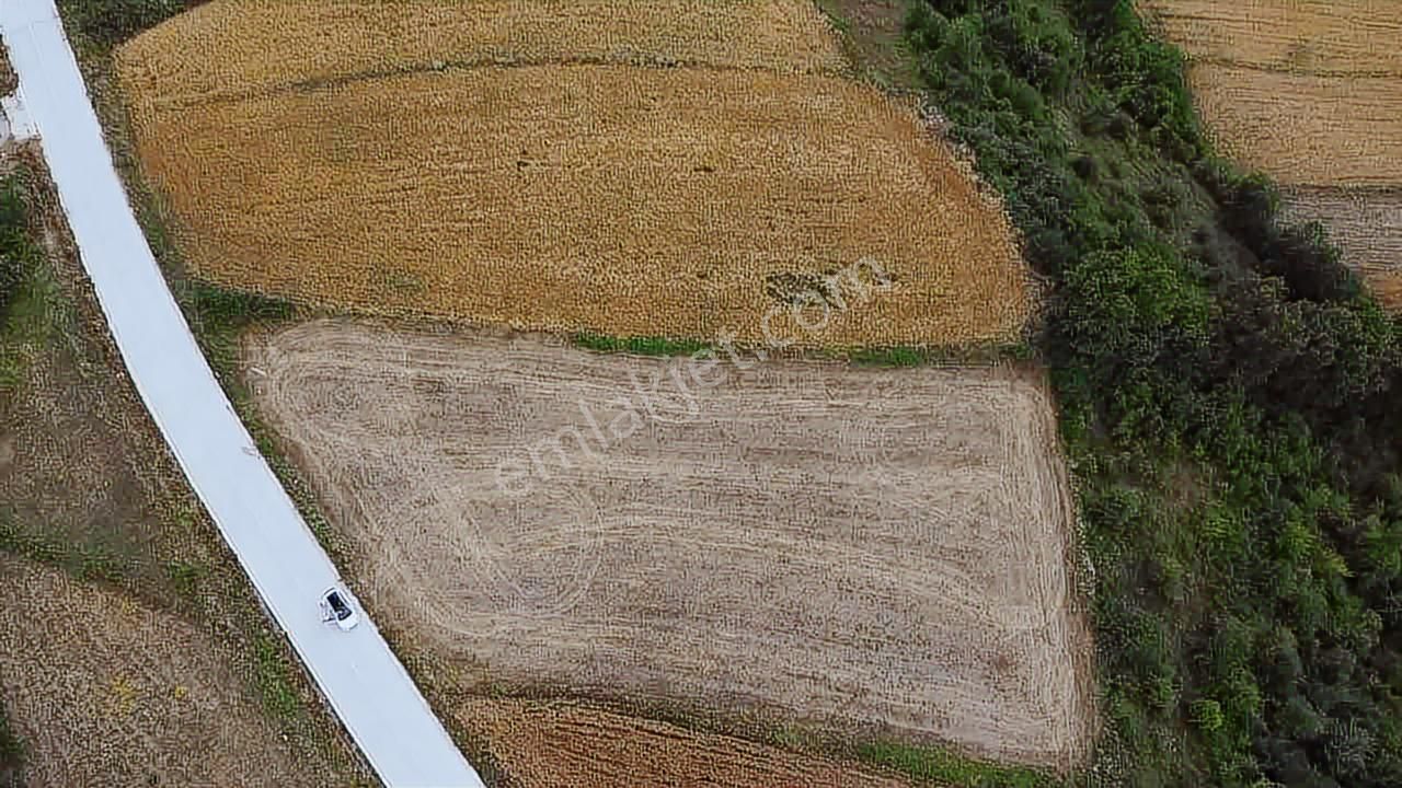 Karadeniz Emlak'tan Kavakda Yola Cephe Satılık Fırsat Tarla - Görsel 14