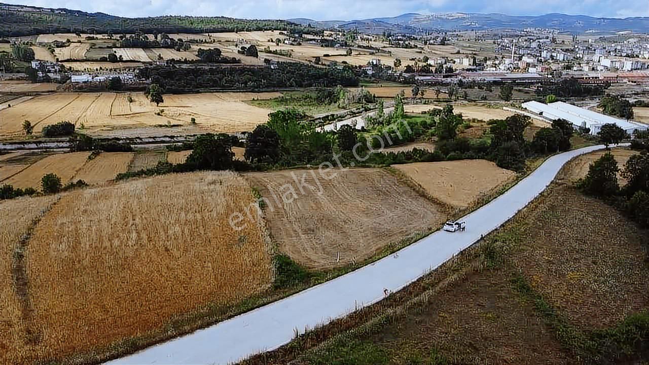 Karadeniz Emlak'tan Kavakda Yola Cephe Satılık Fırsat Tarla