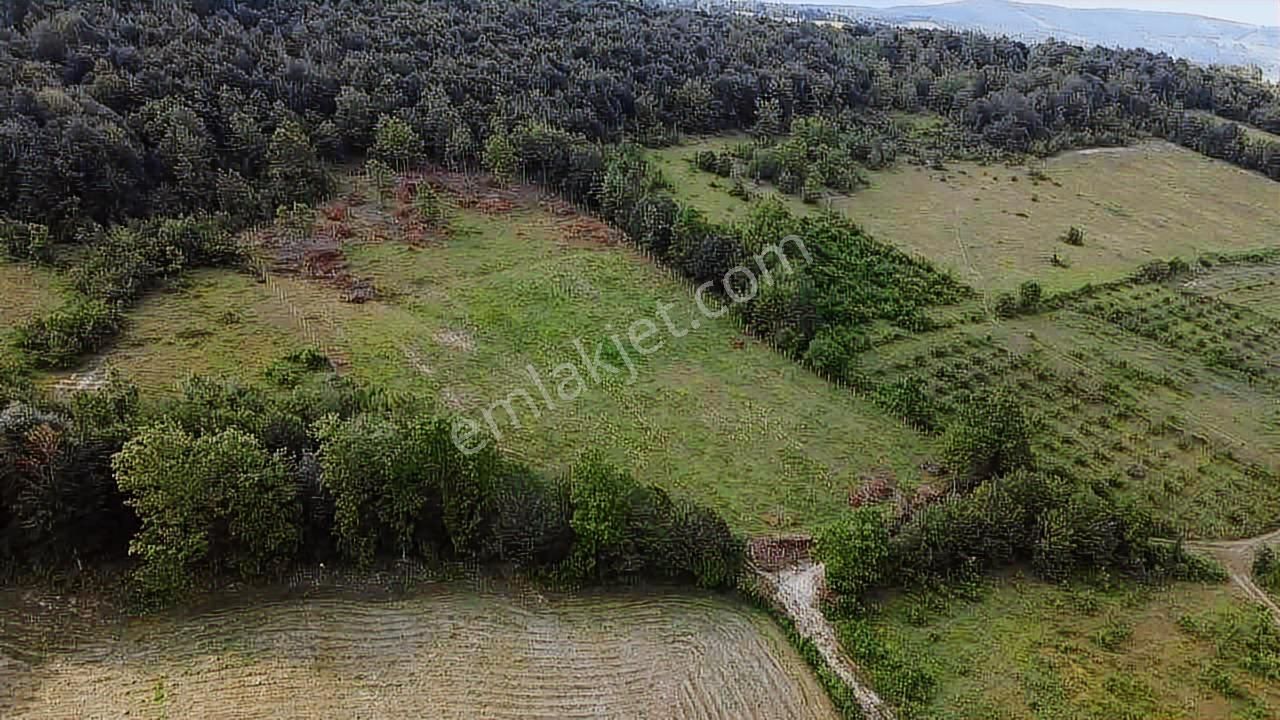 Karadeniz Emlak'tan Kazancıda Takasa Açık 10 Dönüm Satılık Tarla - Görsel 8