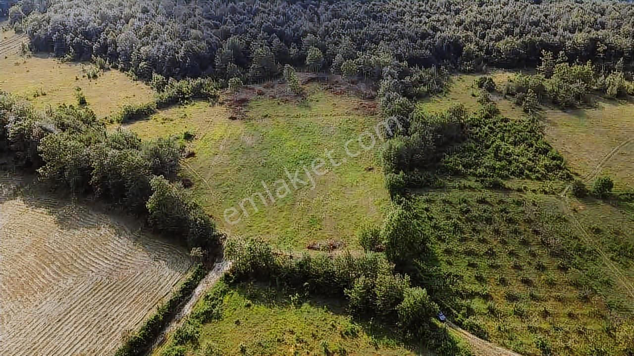 Karadeniz Emlak'tan Kazancıda Takasa Açık 10 Dönüm Satılık Tarla - Görsel 3