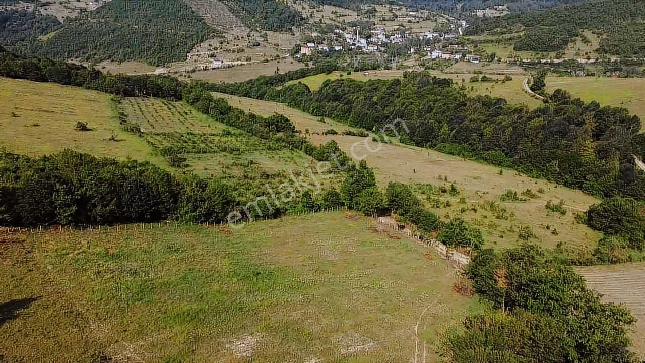Karadeniz Emlak'tan Kazancıda Takasa Açık 10 Dönüm Satılık Tarla - Görsel 5