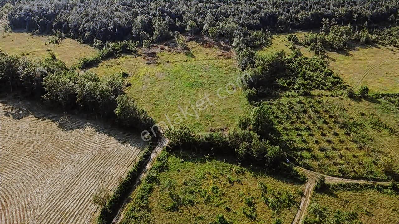 Karadeniz Emlak'tan Kazancıda Takasa Açık 10 Dönüm Satılık Tarla - Görsel 7
