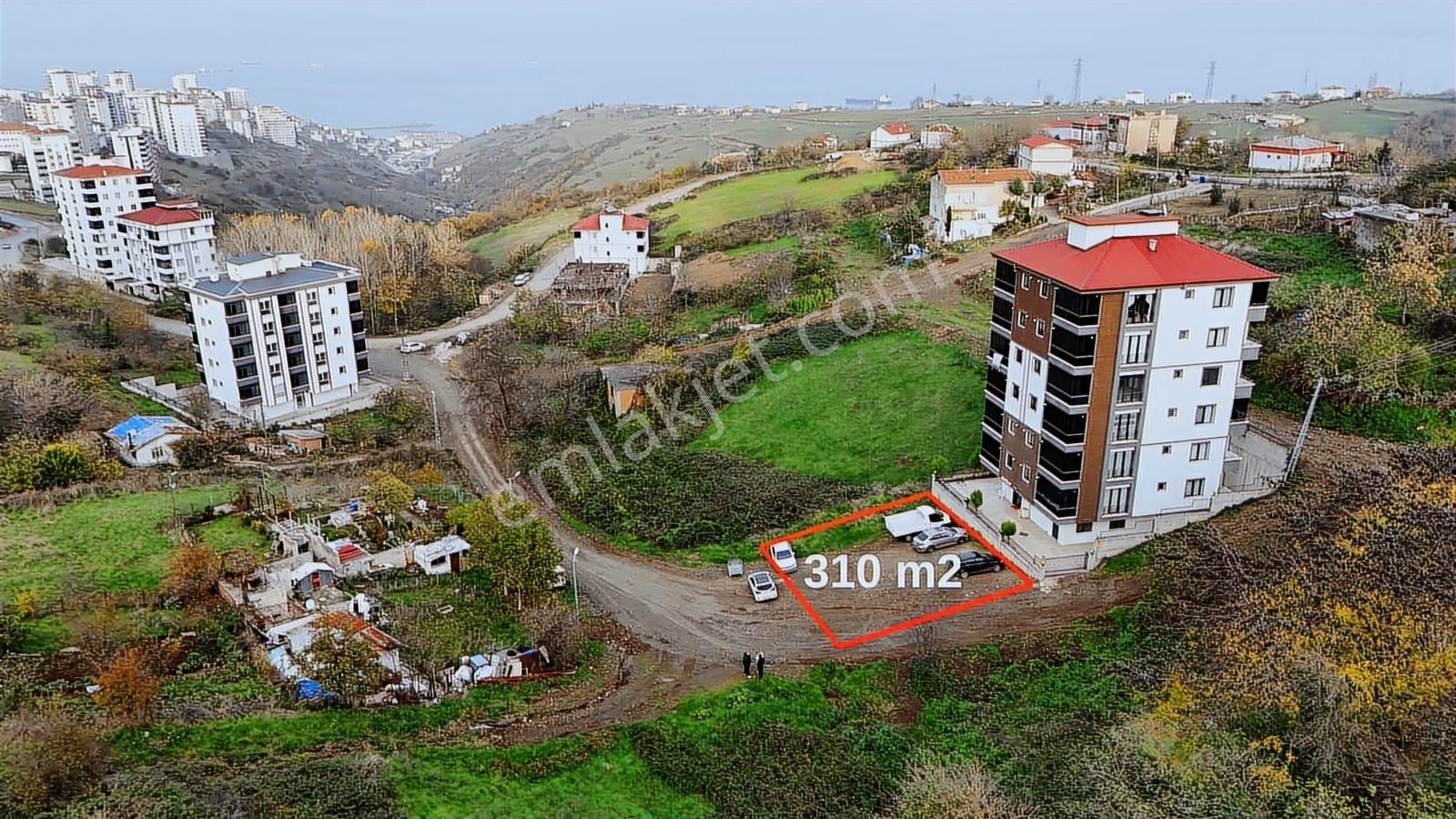 Karadeniz Emlak'tan Hasköy De 310 Metre Köşebaşı Satılık Arsa - Görsel 11