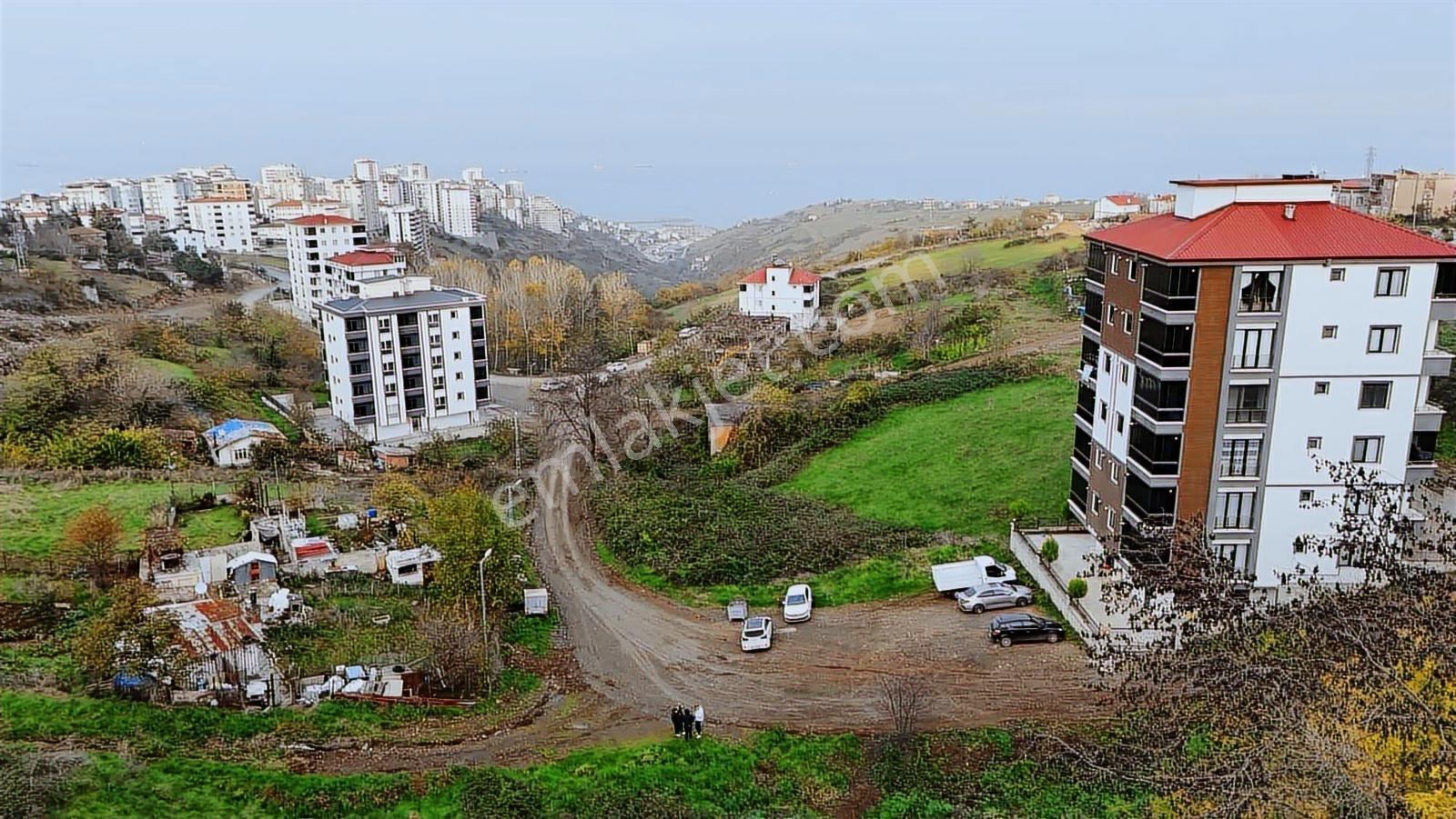 Karadeniz Emlak'tan Hasköy De 310 Metre Köşebaşı Satılık Arsa - Görsel 10
