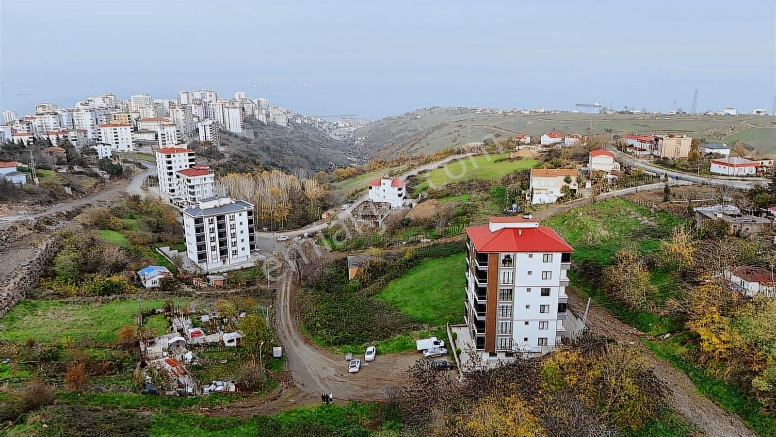 Karadeniz Emlak'tan Hasköy De 310 Metre Köşebaşı Satılık Arsa - Görsel 2