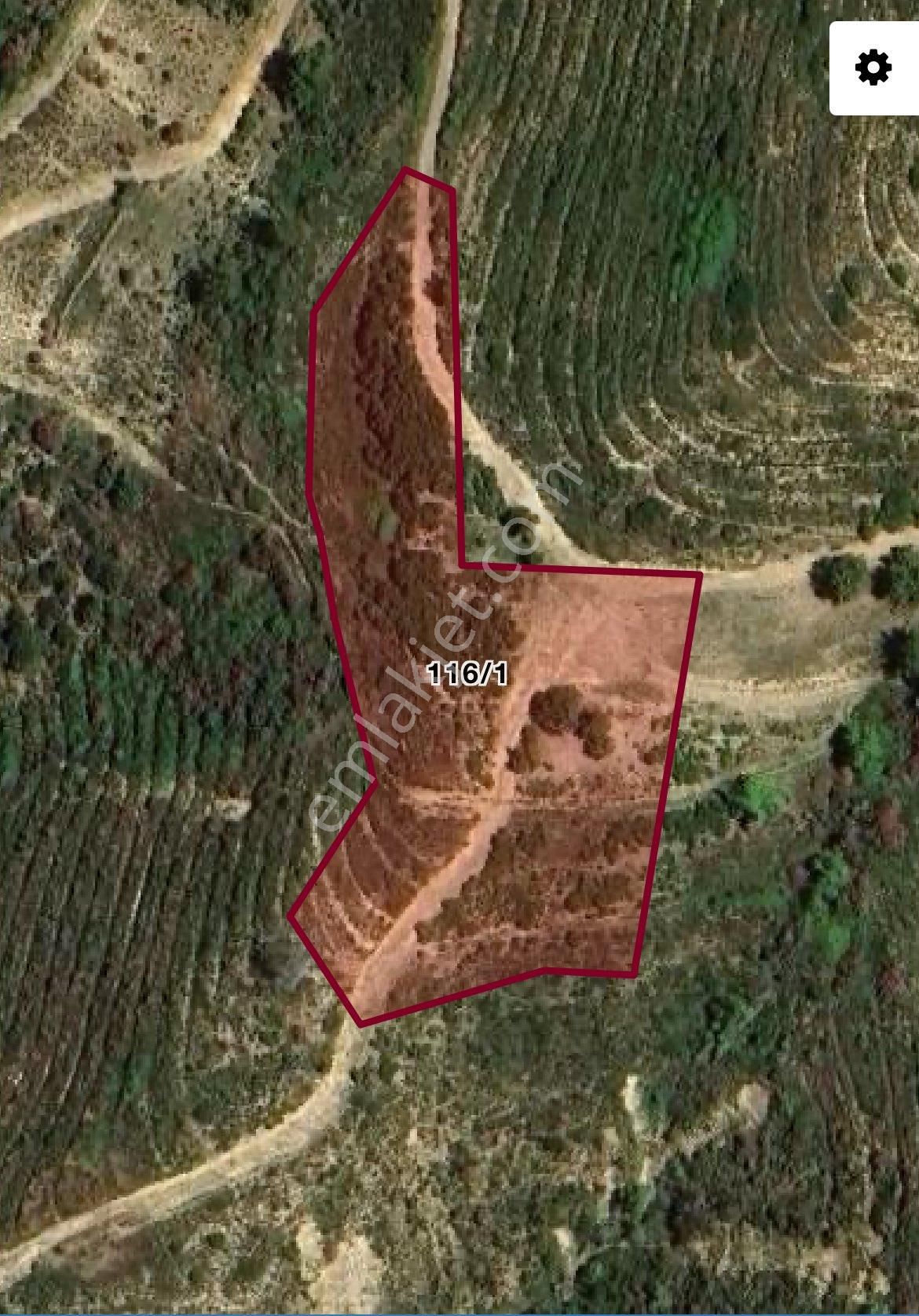 Manavgat Aşağı Işıklarda 7.776 M² Müstakil Satılık Tarla