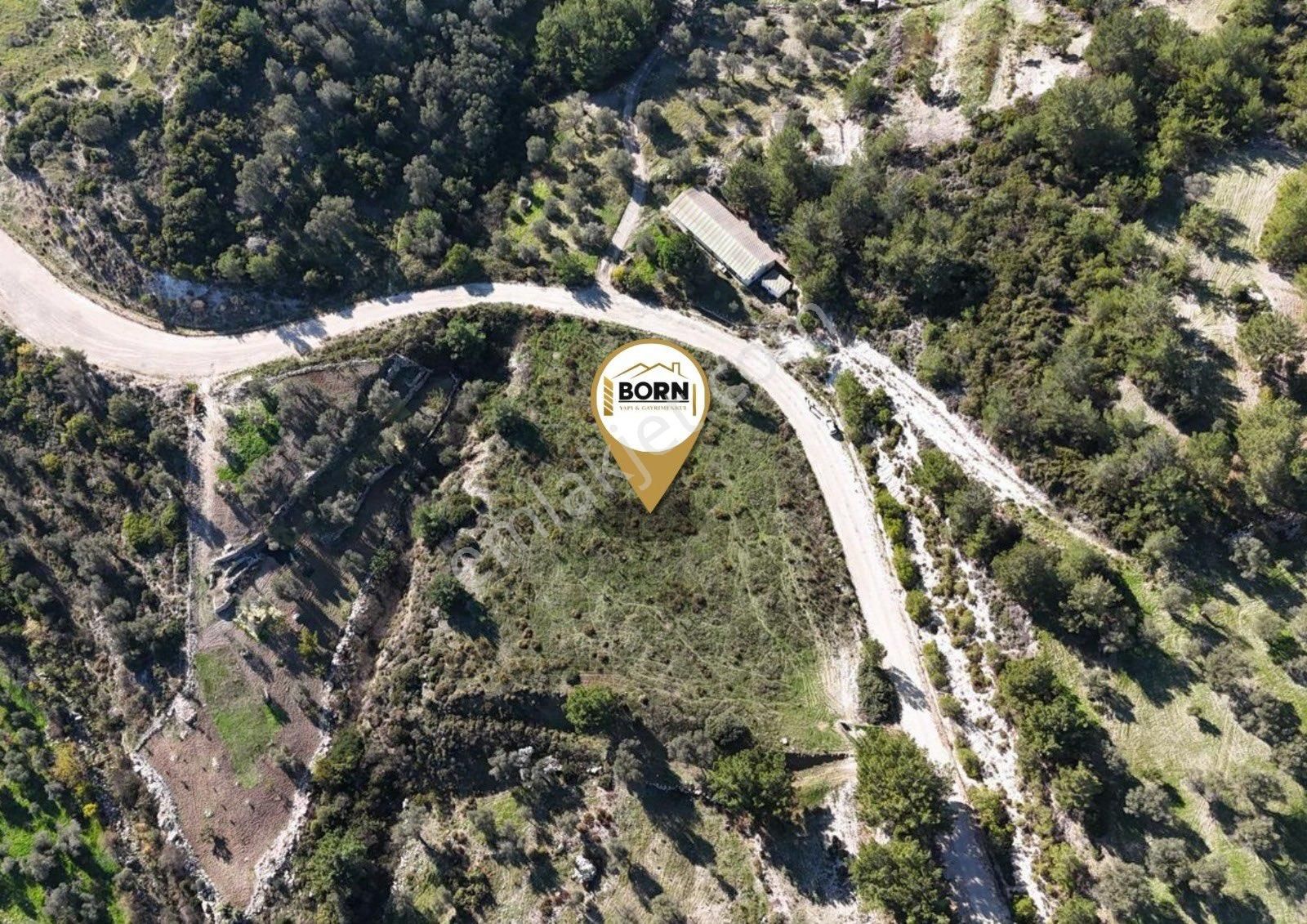 İzmir Karaburun Eğlenhoca’da Satılık Yola Cepheli Tarla - Görsel 3