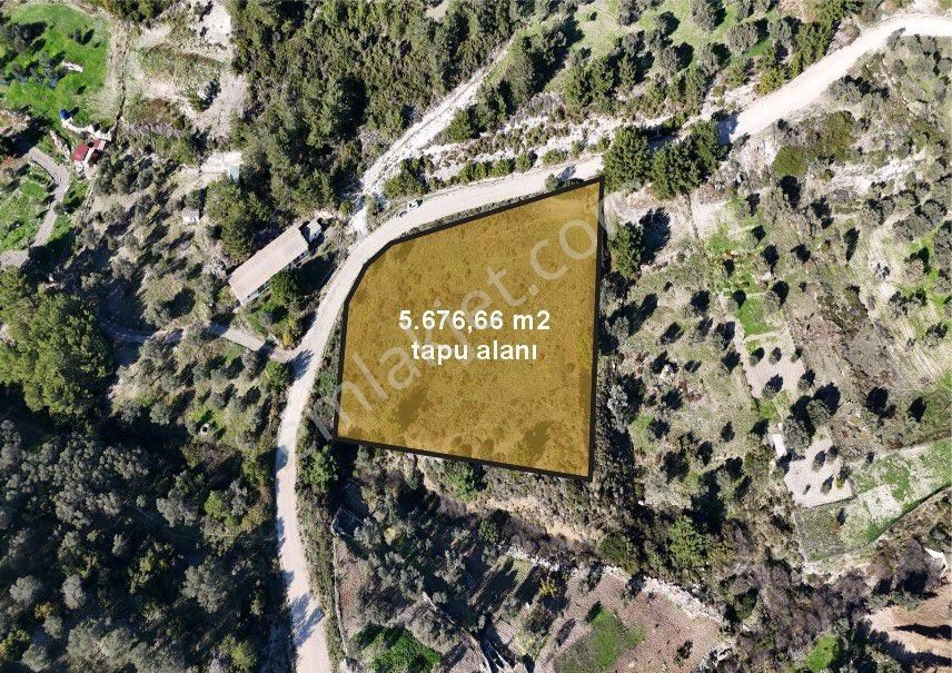İzmir Karaburun Eğlenhoca’da Satılık Yola Cepheli Tarla - Görsel 4