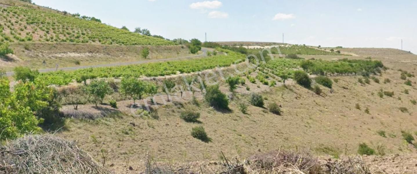 19.000m² Tapu + 8.000m² Hazine | Yanı Turizm+ticari İmarlı - Görsel 5