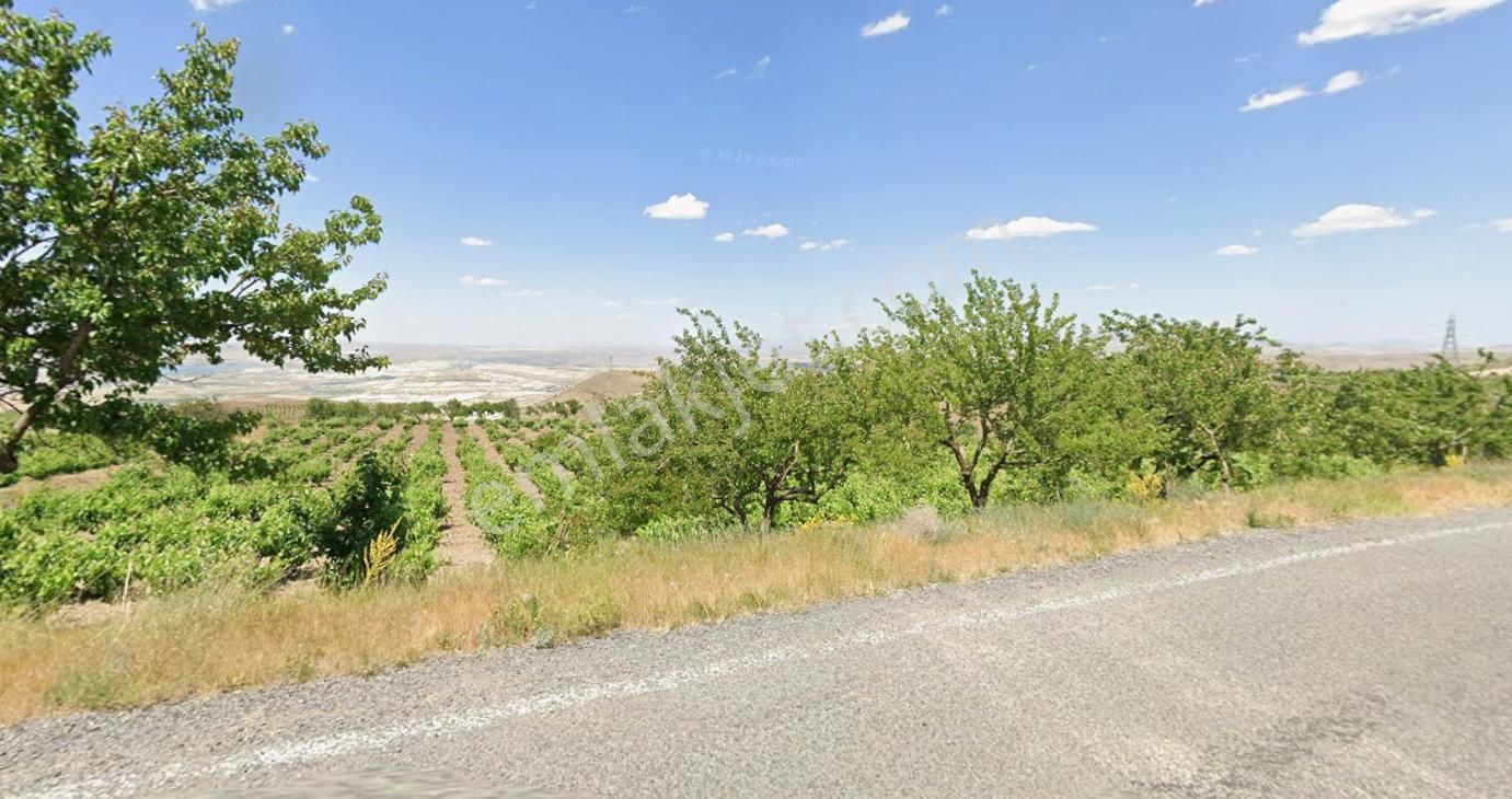 19.000m² Tapu + 8.000m² Hazine | Yanı Turizm+ticari İmarlı - Görsel 4