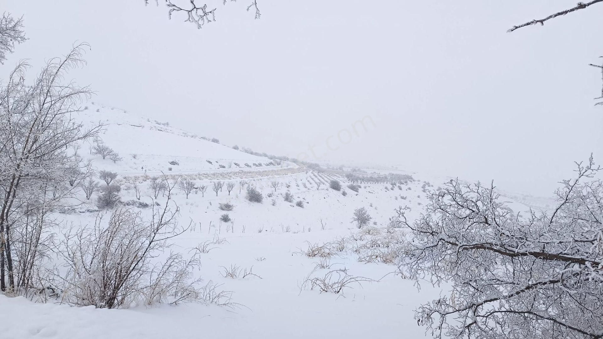 19.000m² Tapu + 8.000m² Hazine | Yanı Turizm+ticari İmarlı - Görsel 6