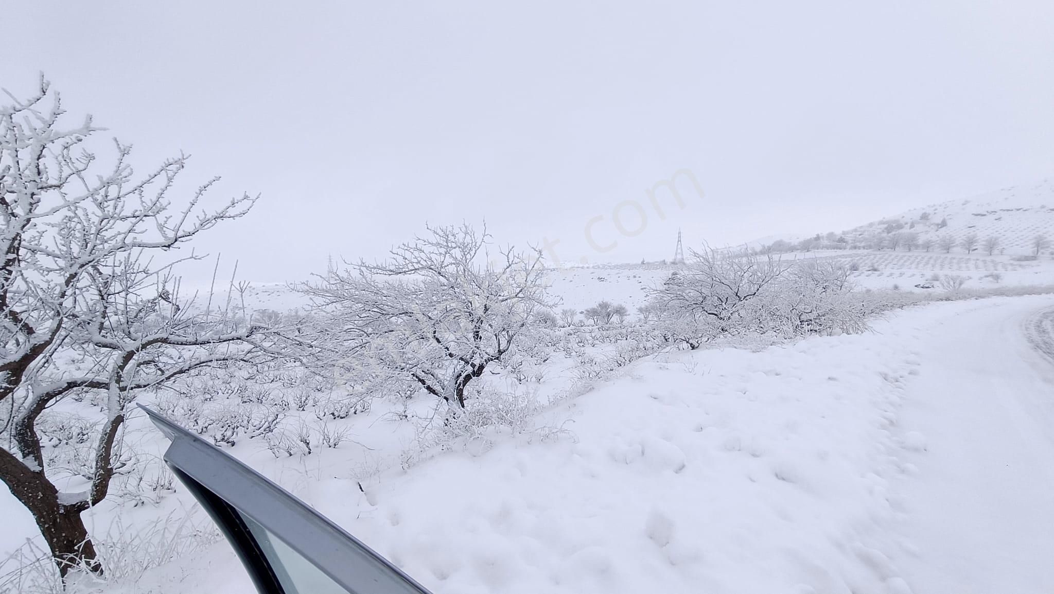 19.000m² Tapu + 8.000m² Hazine | Yanı Turizm+ticari İmarlı - Görsel 8