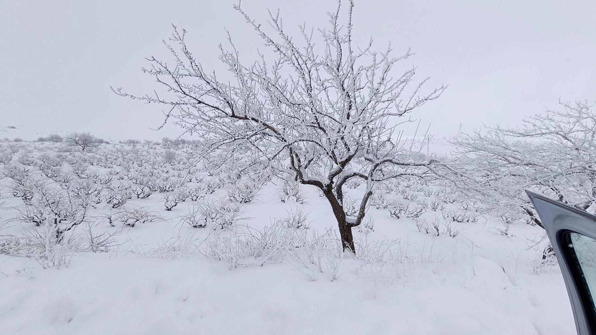 19.000m² Tapu + 8.000m² Hazine | Yanı Turizm+ticari İmarlı - Görsel 7