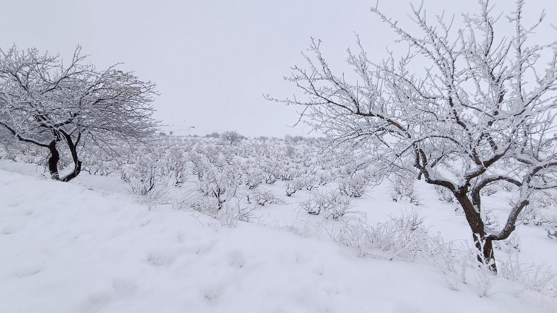 19.000m² Tapu + 8.000m² Hazine | Yanı Turizm+ticari İmarlı