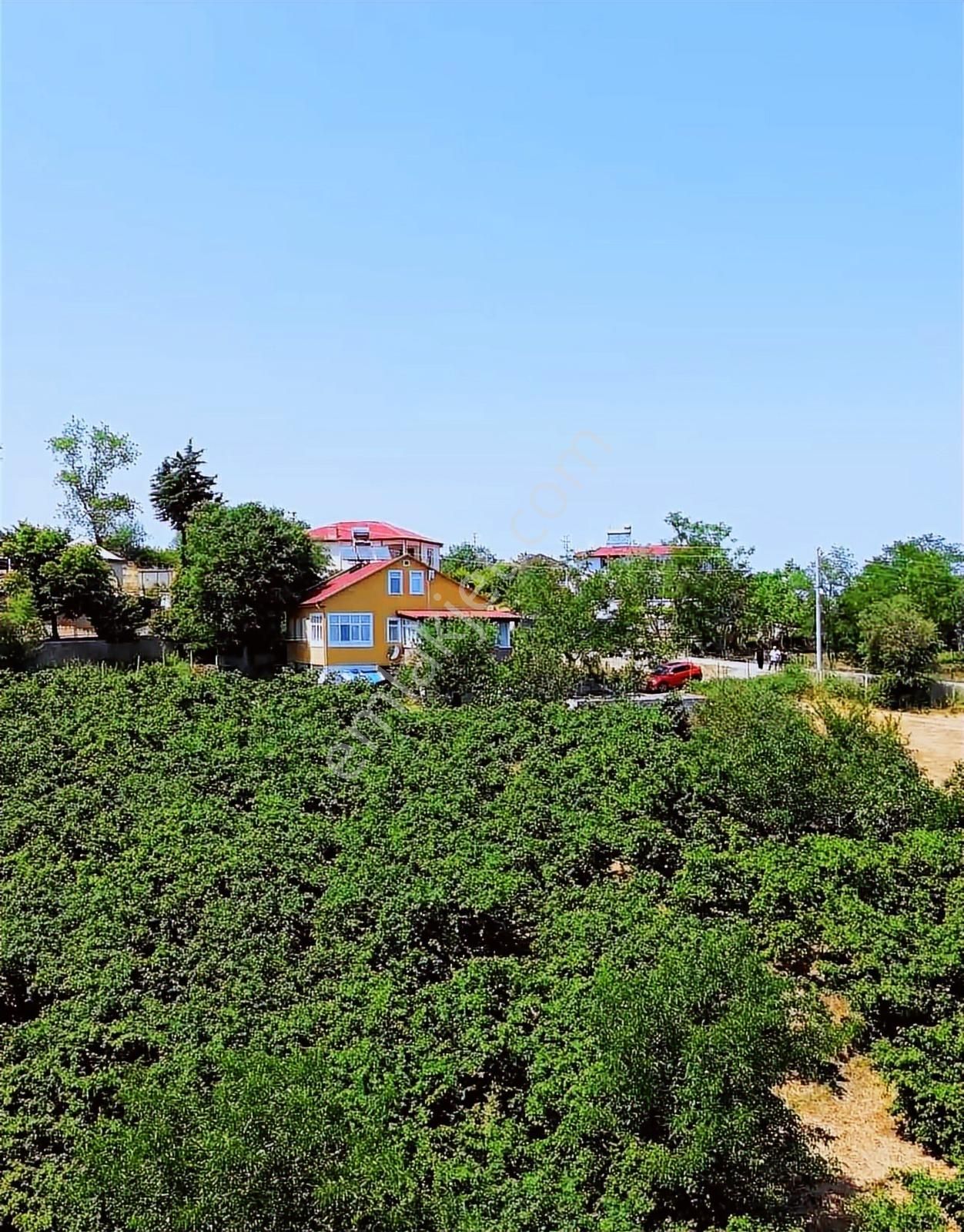 Atakum Çatalçam'da Fındık Bahçesi Ve Müstakil Ev - Görsel 32