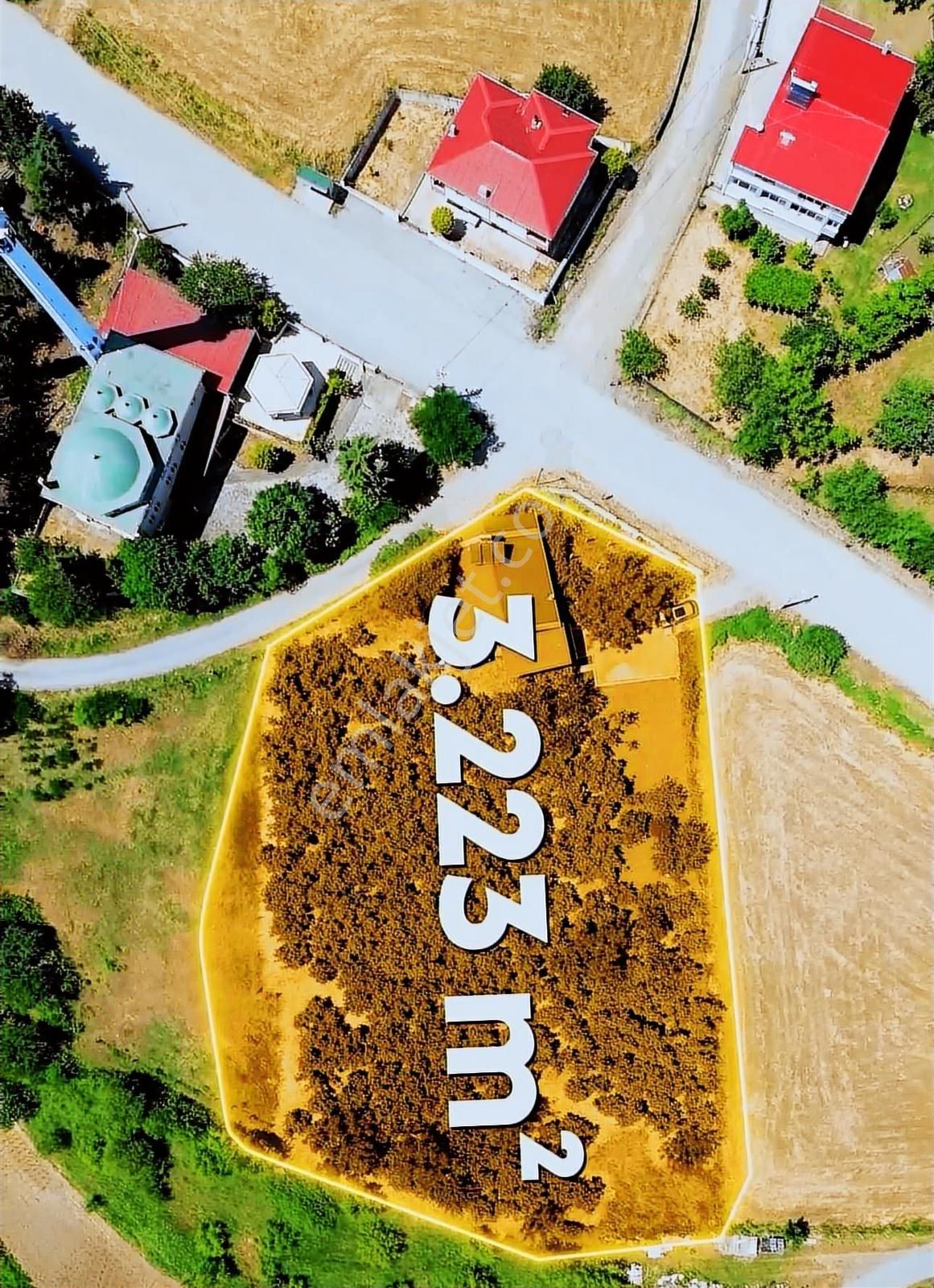 Atakum Çatalçam'da Fındık Bahçesi Ve Müstakil Ev - Görsel 35