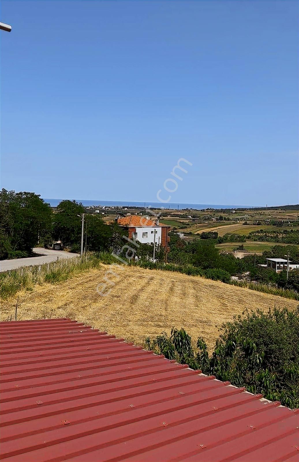 Atakum Çatalçam'da Fındık Bahçesi Ve Müstakil Ev - Görsel 10