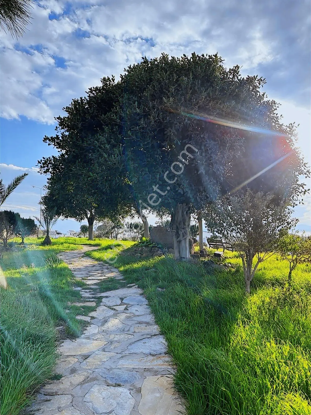 Muğla Boğaziçi Bodrum Gültan Deniz Manzaralı 4+1 Villa Satılık - Görsel 2