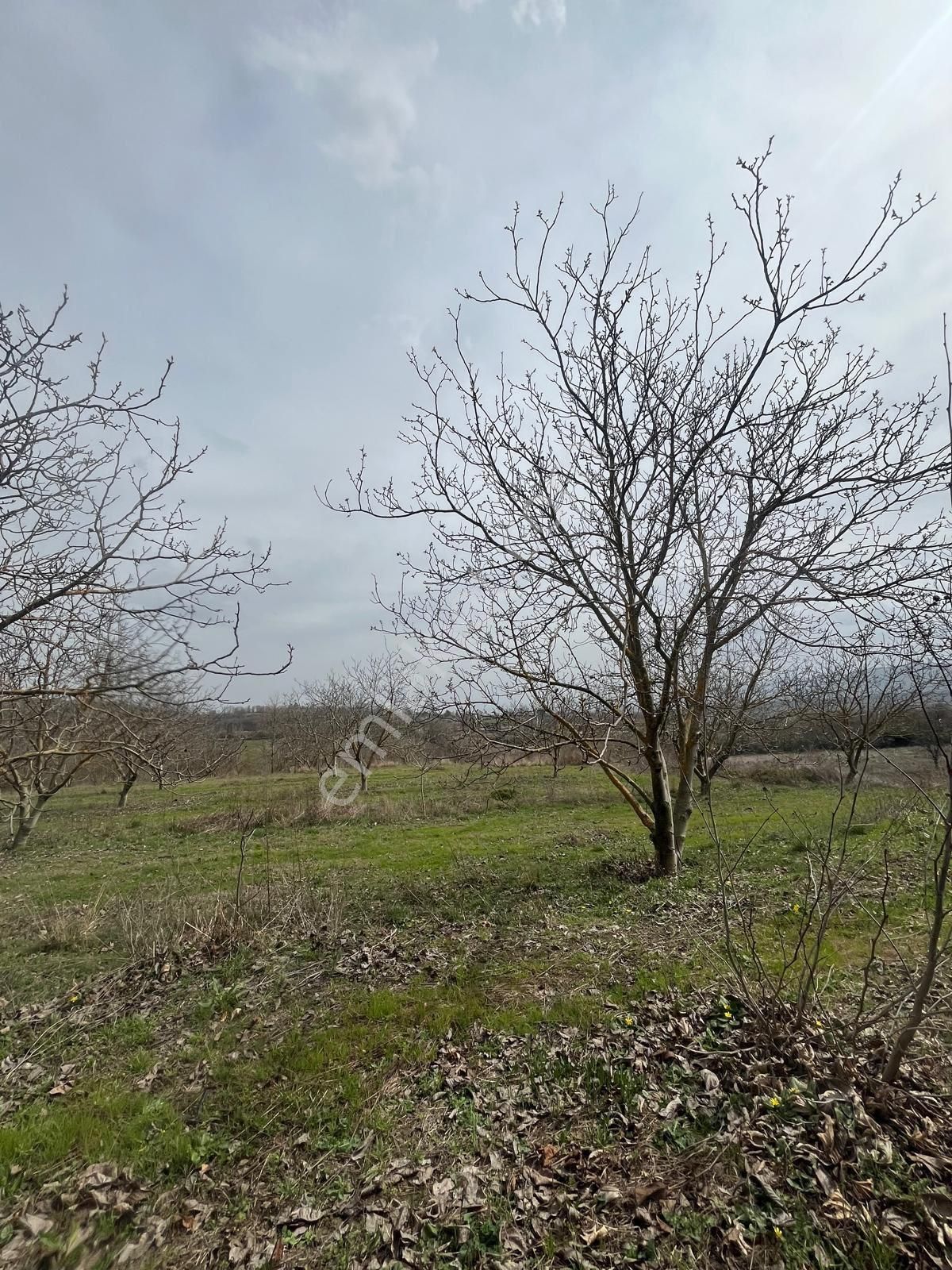 Çanakkale 9 Dönüm Sahibinden Asfalta Cepheli - Görsel 13