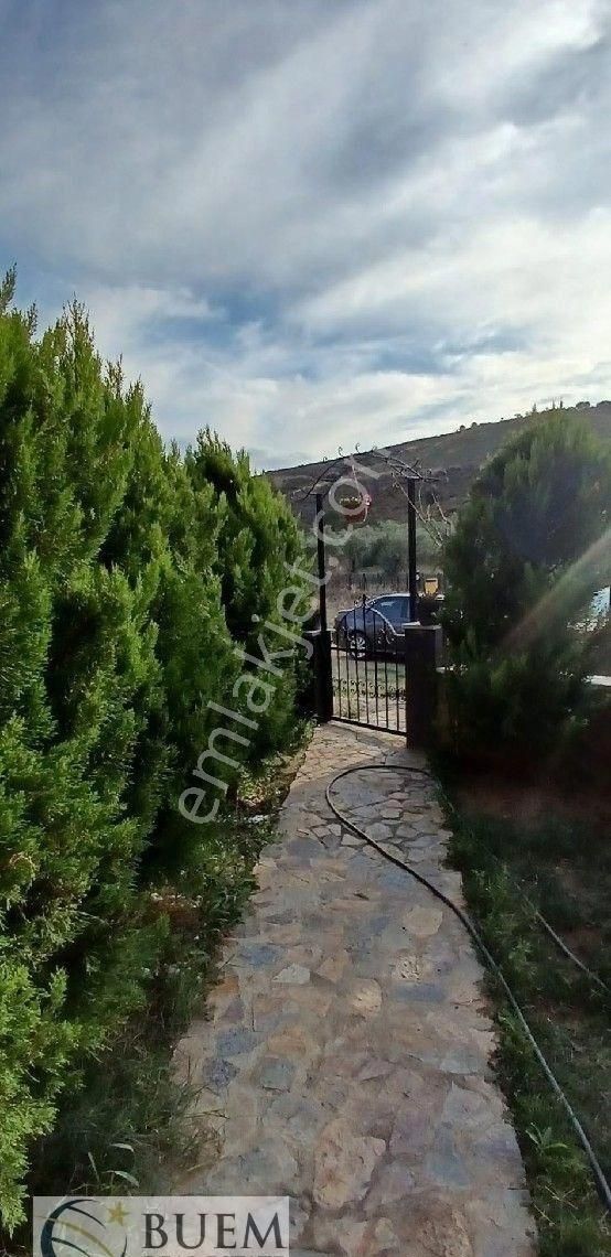 Avşa Adası Angali Mevkii Fuul Eşyalı İkiz Viila Su Kuyusuna Kadar Mevcut Fırsat Dairesi - Görsel 30