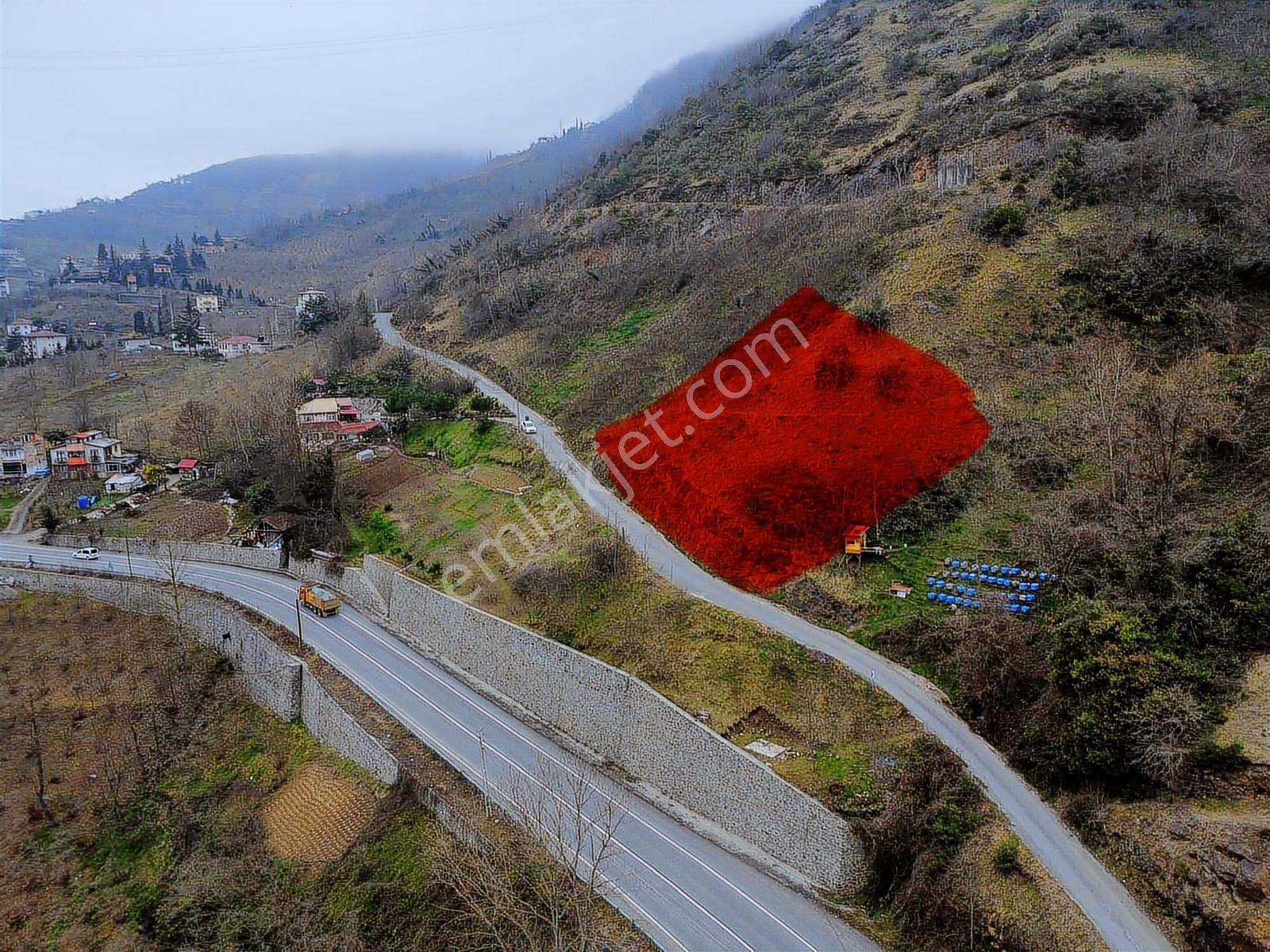 Trabzon Akyazıda Projeli Konut İmarlı 1200 M2 Fırsat Arsa - Görsel 17