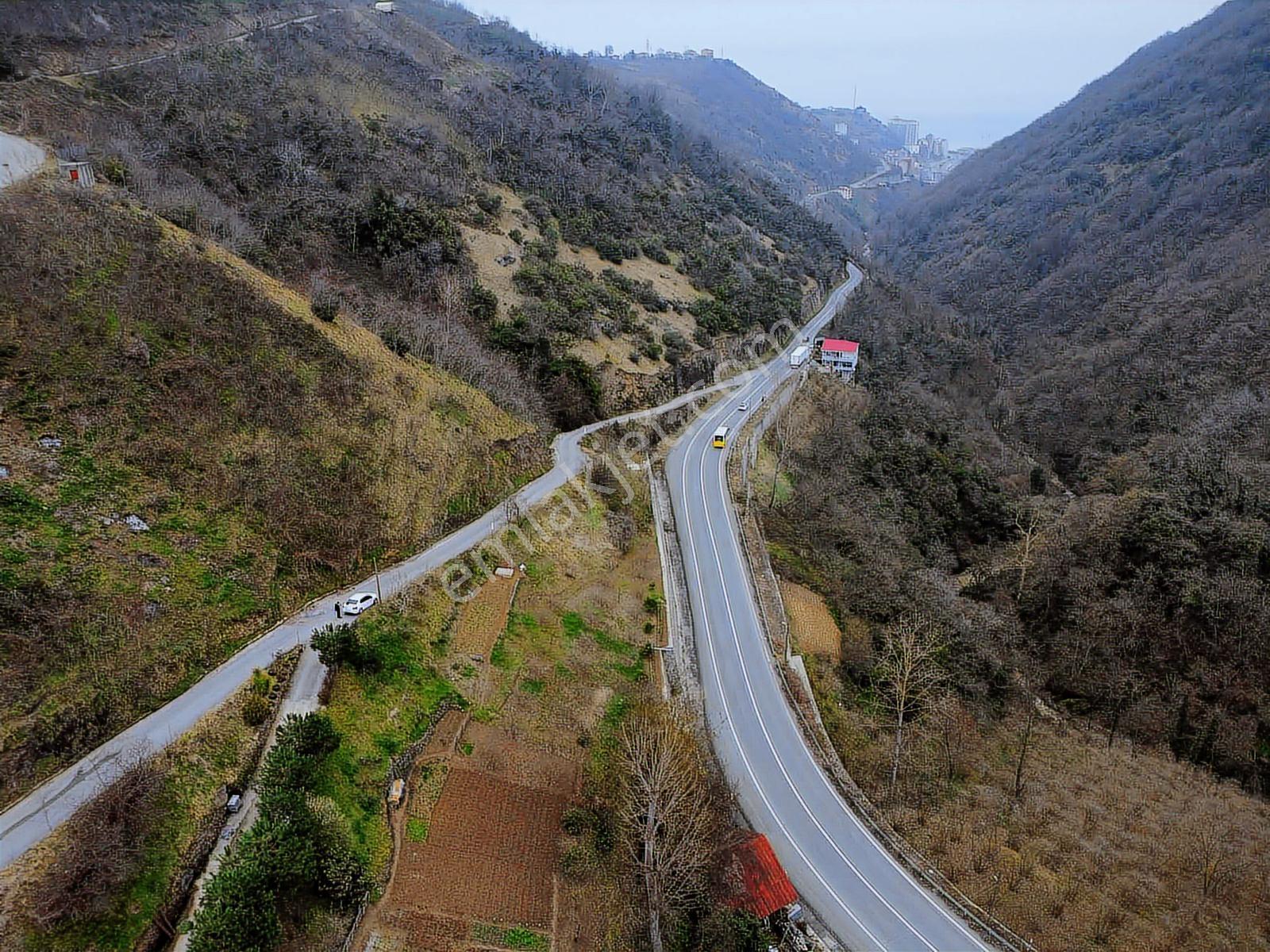 Trabzon Akyazıda Projeli Konut İmarlı 1200 M2 Fırsat Arsa - Görsel 5