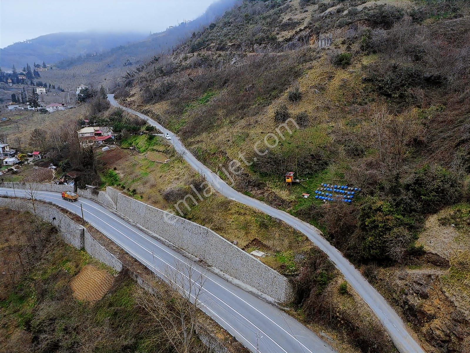 Trabzon Akyazıda Projeli Konut İmarlı 1200 M2 Fırsat Arsa - Görsel 2