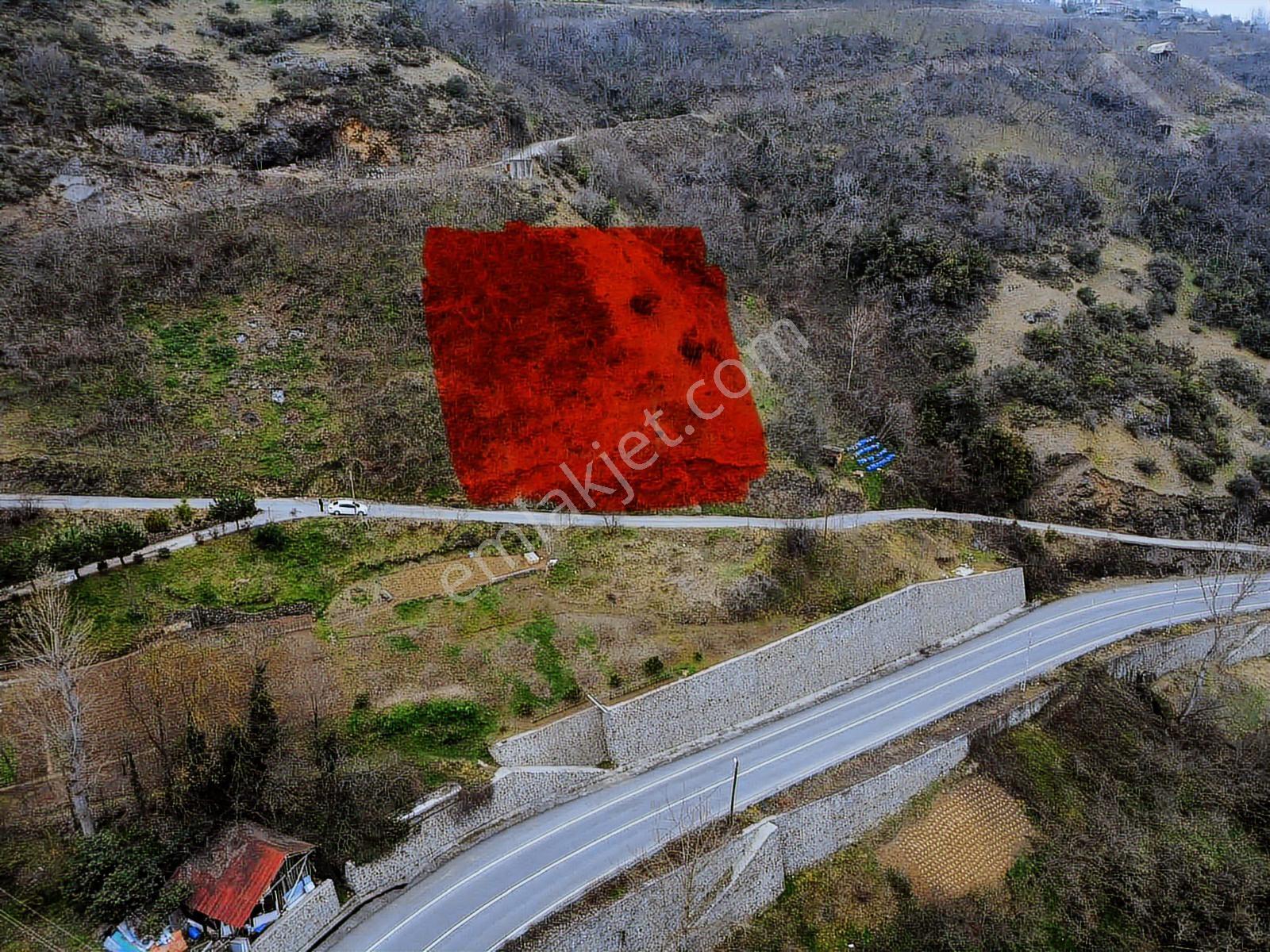 Trabzon Akyazıda Projeli Konut İmarlı 1200 M2 Fırsat Arsa - Görsel 6
