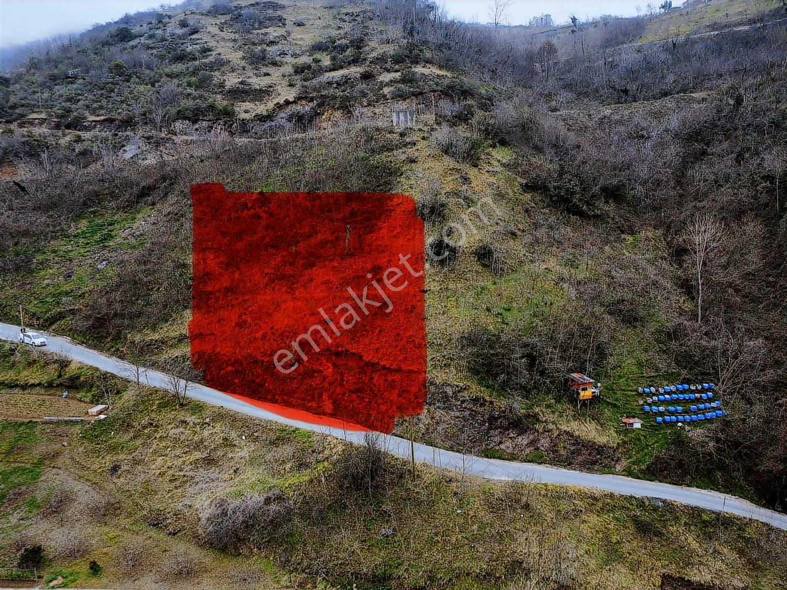 Trabzon Akyazıda Projeli Konut İmarlı 1200 M2 Fırsat Arsa - Görsel 3