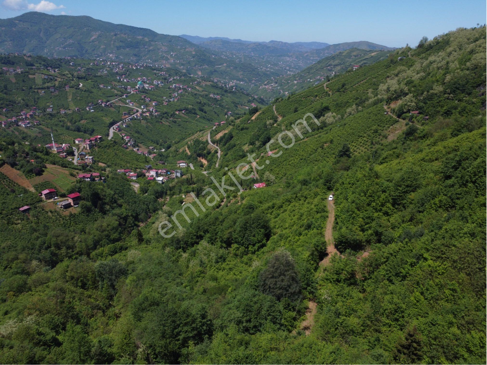 Trabzon Akçabatta Satılık Arazi Araç Takas Mevcut - Görsel 7