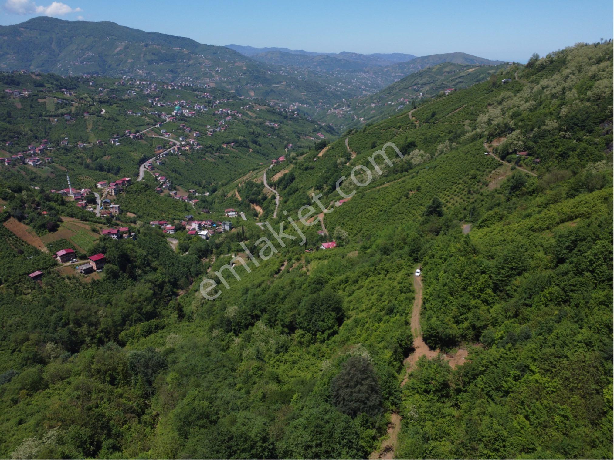 Trabzon Akçabatta Satılık Arazi Araç Takas Mevcut - Görsel 20
