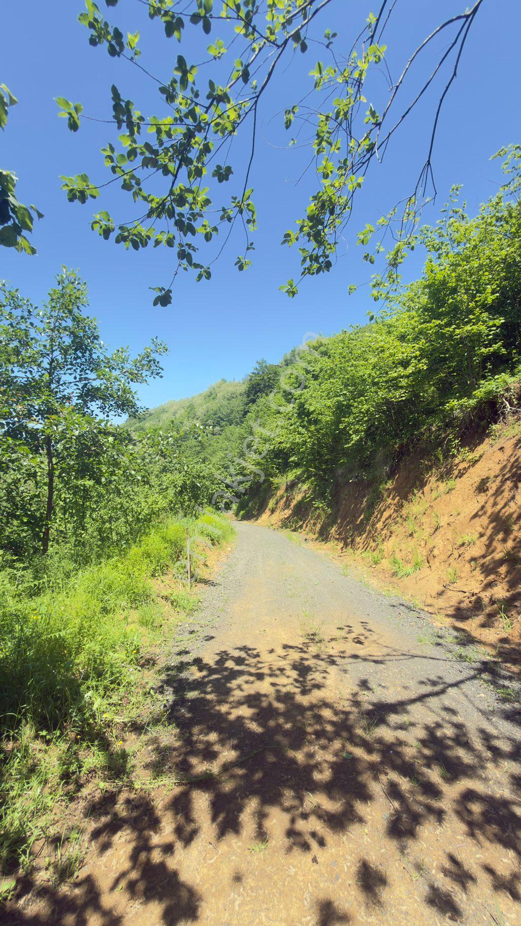 Trabzon Akçabatta Satılık Arazi Araç Takas Mevcut - Görsel 14