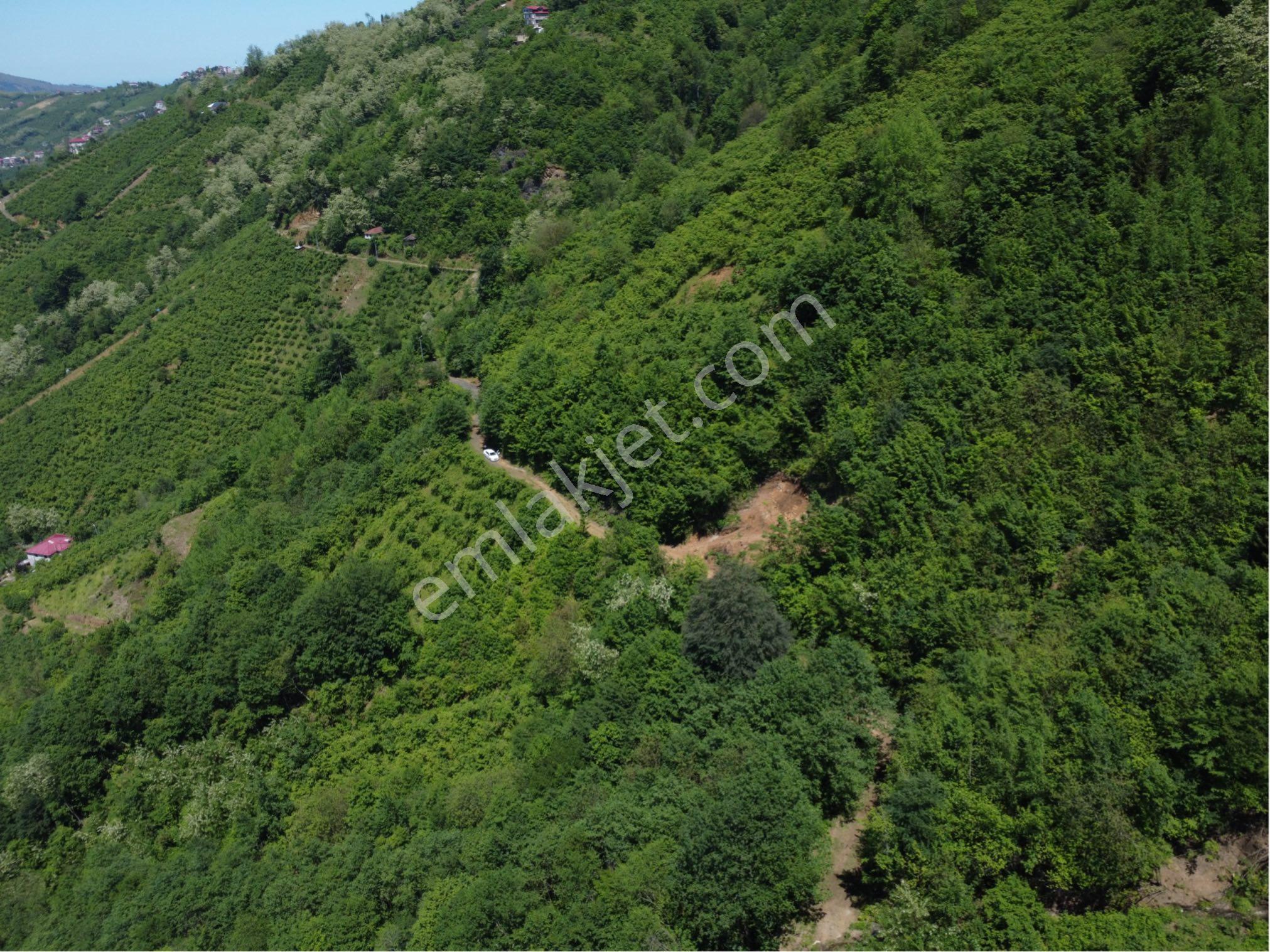 Trabzon Akçabatta Satılık Arazi Araç Takas Mevcut - Görsel 9