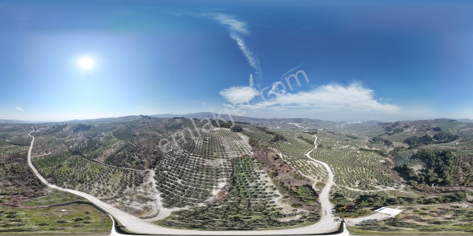Çepni'de Asfalta Cephe Satılık 2.266 M2 Şahane Zeytinlik - Görsel 9