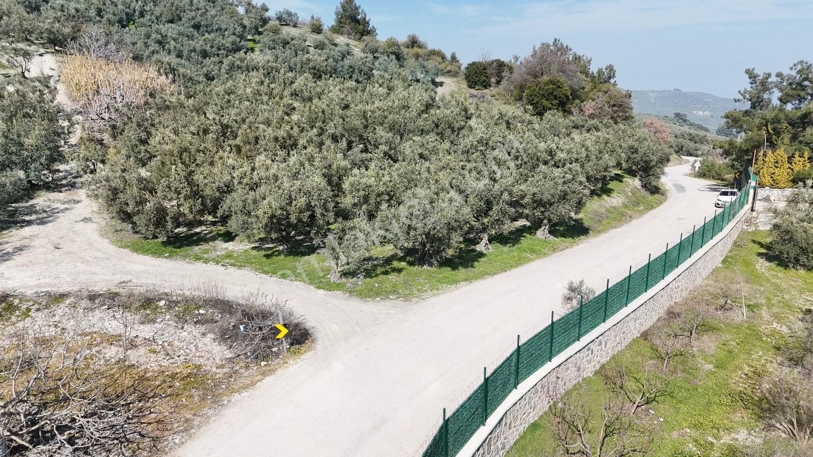 Çepni'de Asfalta Cephe Satılık 2.266 M2 Şahane Zeytinlik - Görsel 7