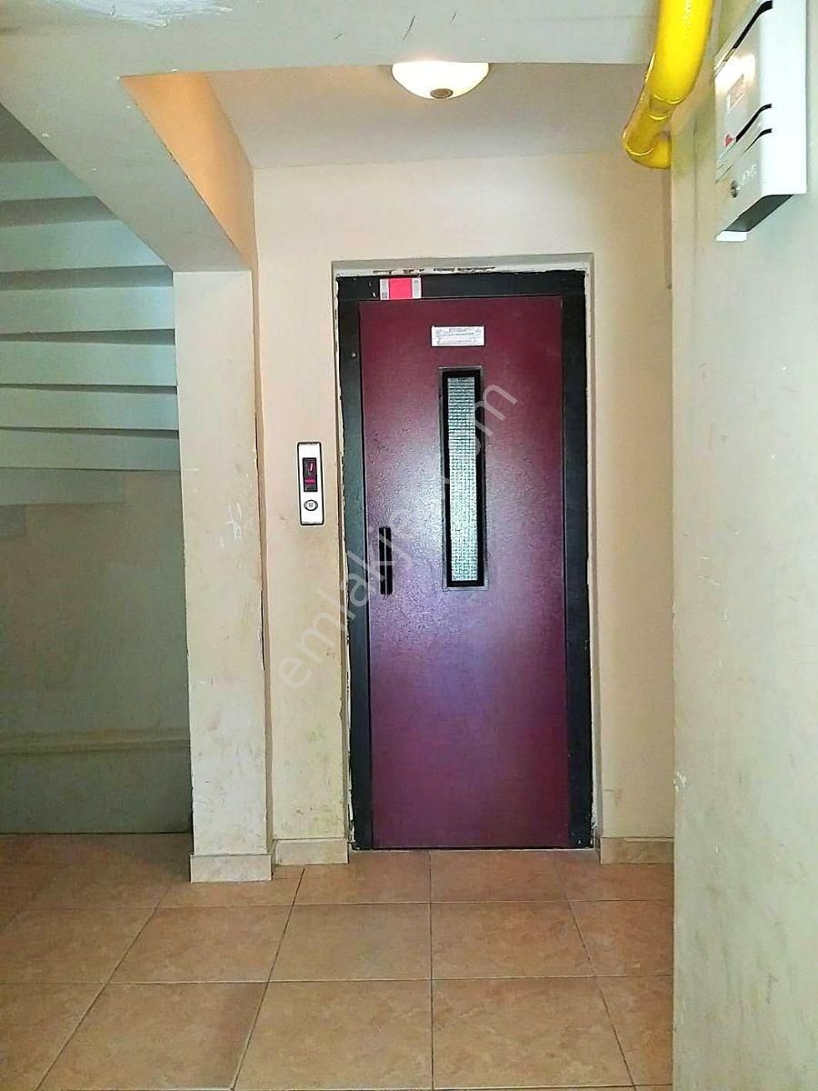 Agm Den Nusratiye Mahallesinde 2+1 Eşyalı Kiracılı Ara Kat Daire - Görsel 5