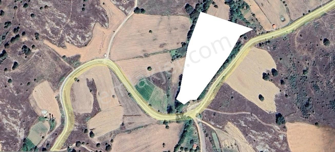 Bursa Orhaneli Tepecik'te Asfalta Cephe Satılık Tarla - Görsel 3