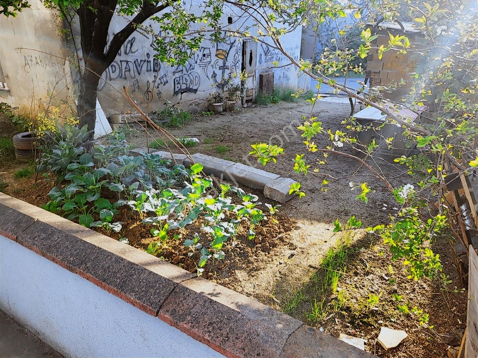 Koru Emlak'tan Satılık 87m Konut İmarlı Arsa Takasa Uygun - Görsel 28