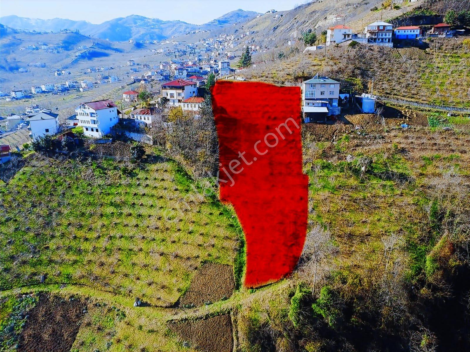 Trabzonda Fırsat Arazi
