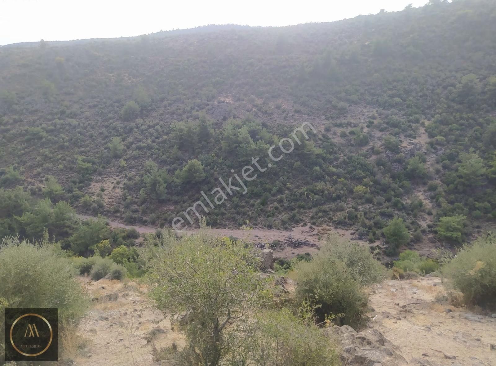 Şehzadeler Kale Köy'de Satılık Müstakil Evli Arsa - Görsel 5